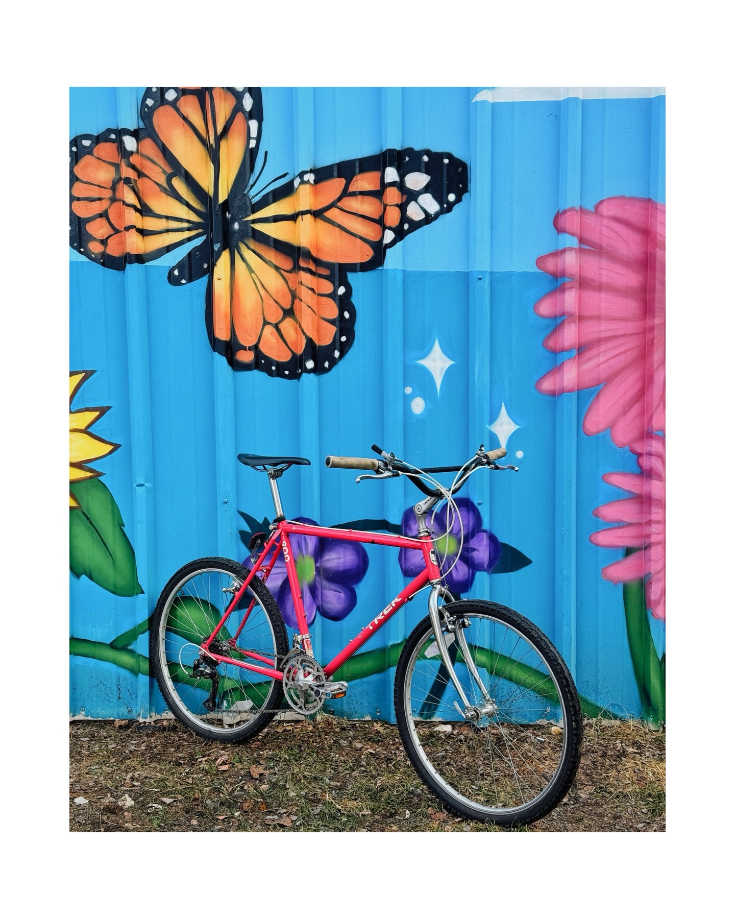 Image from @behindbarsbicycleshop