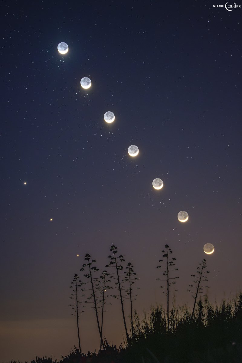 Image from NASA APOD