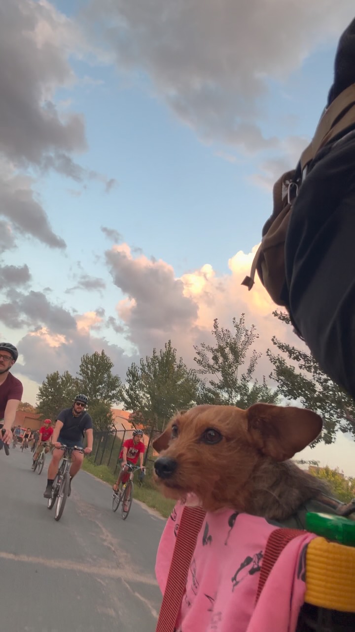 Image from @unsanctioned.rides