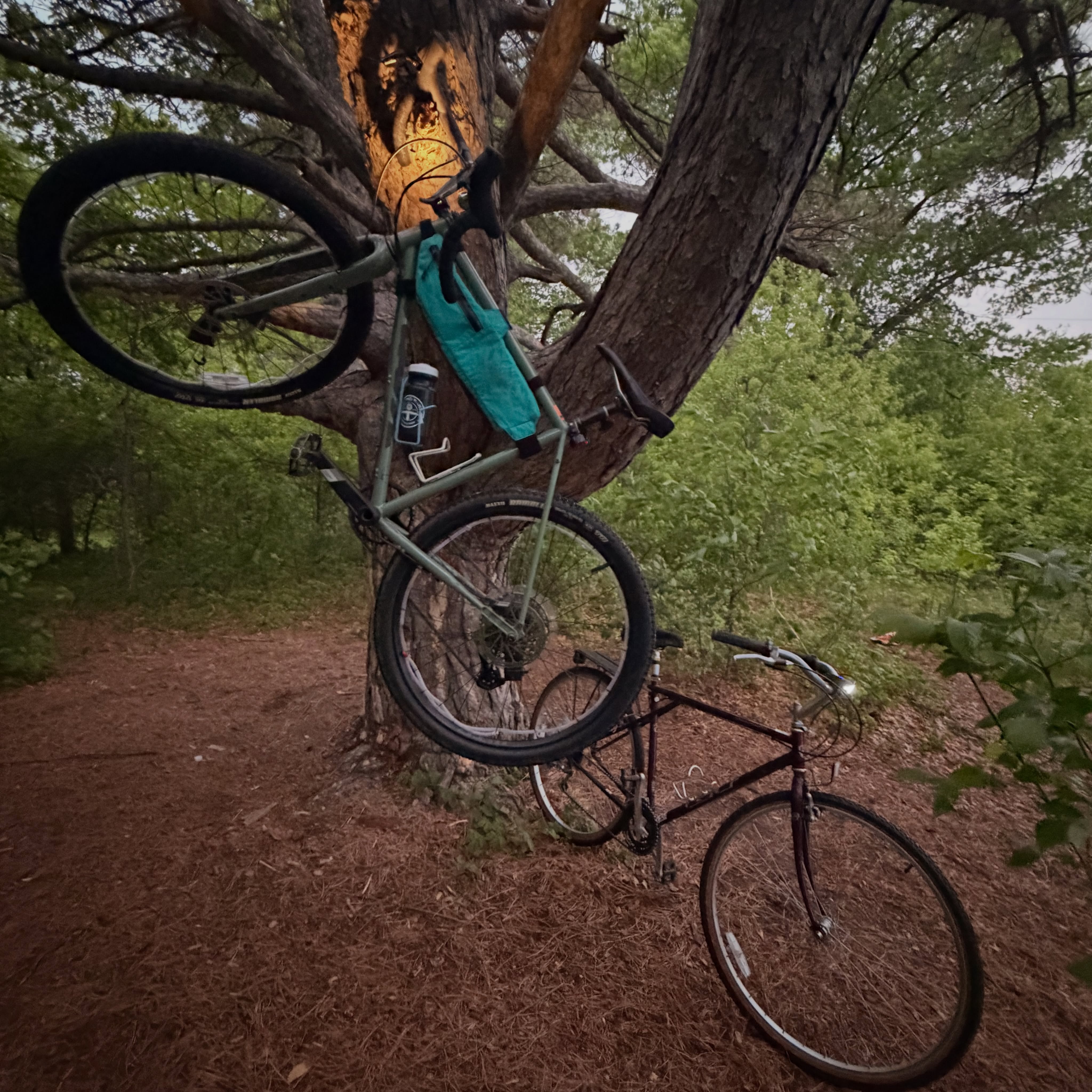 Image from @bikingwithbaddies