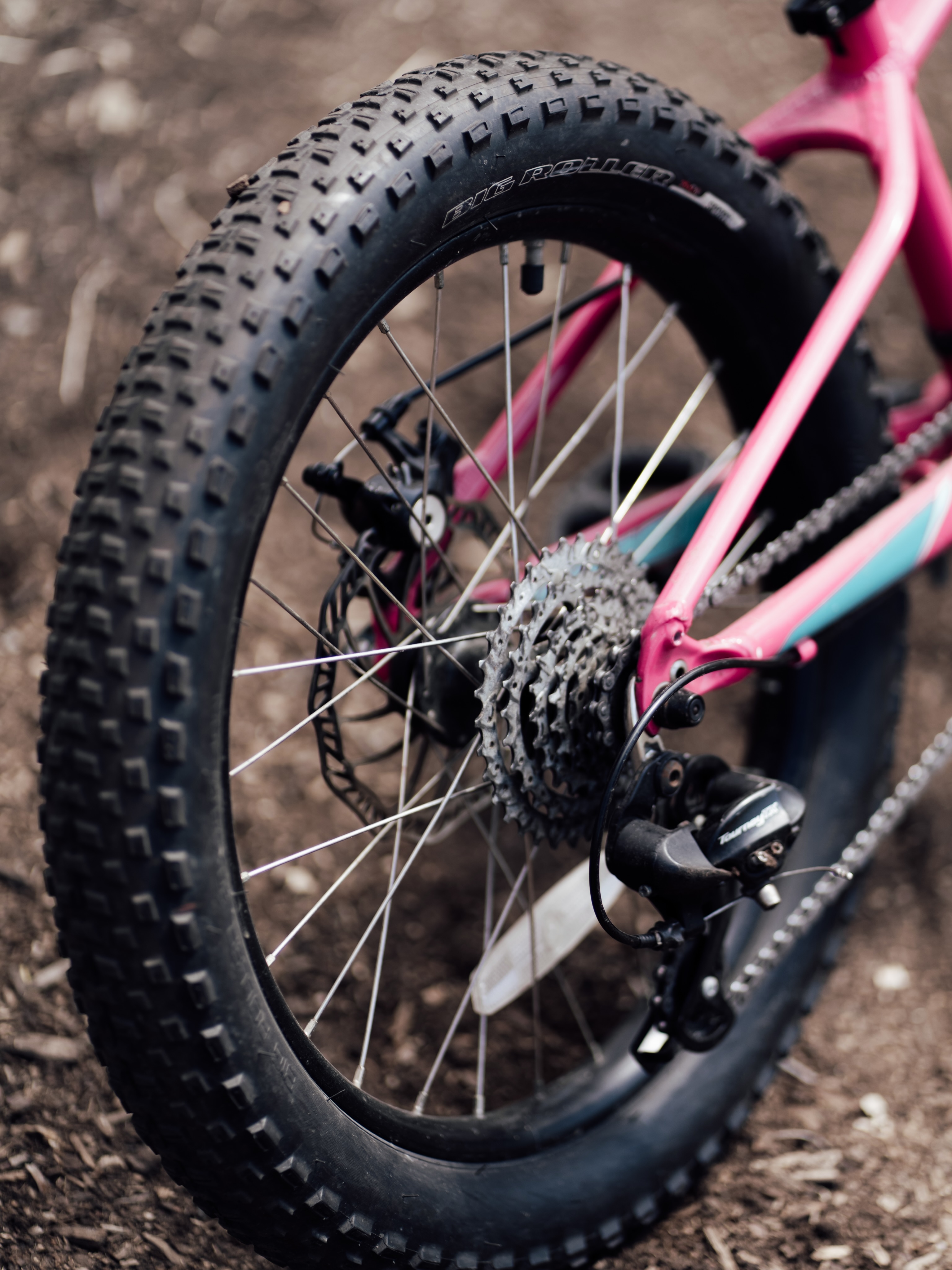 Image from @bikingwithbaddies