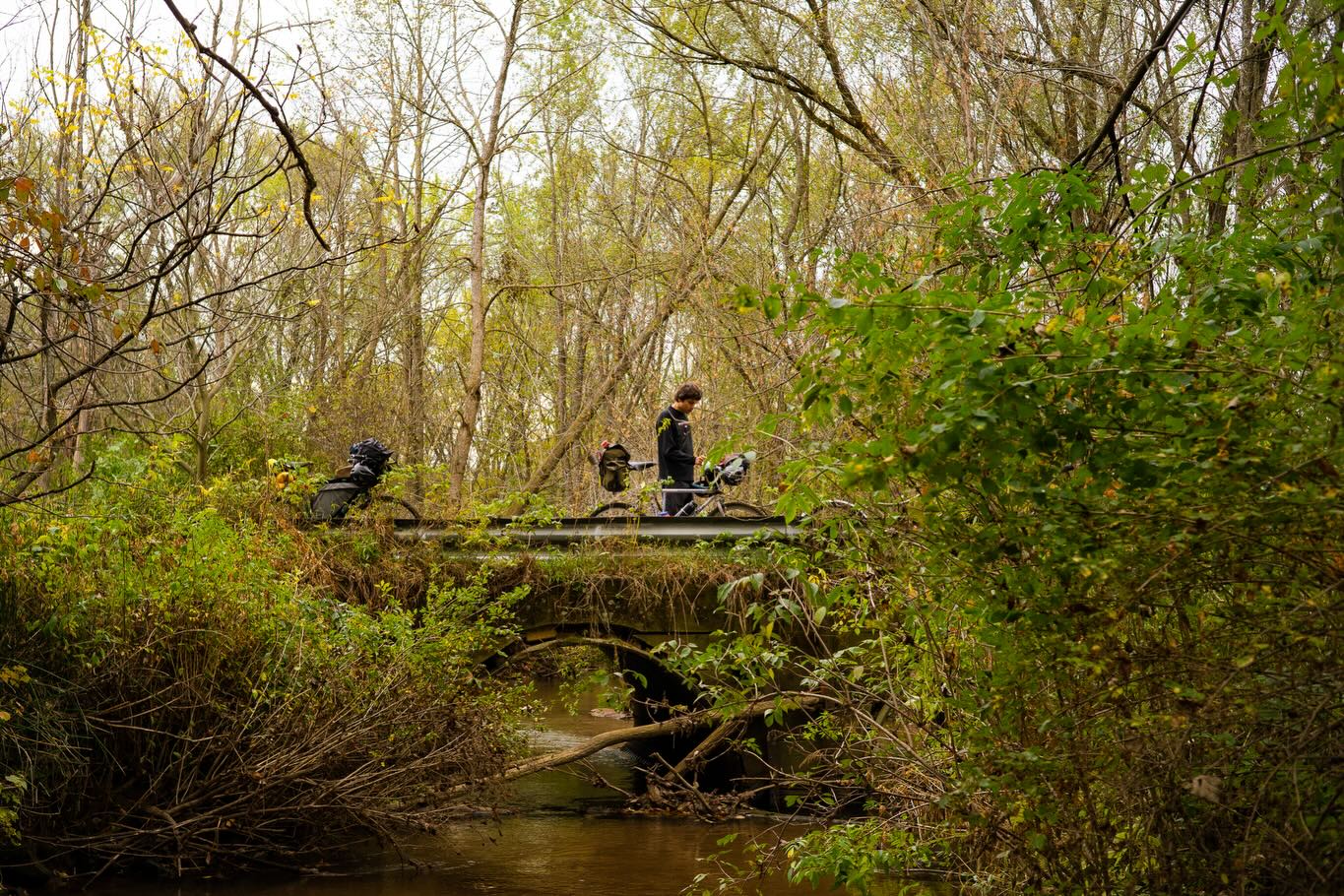 Image from @geno_atb