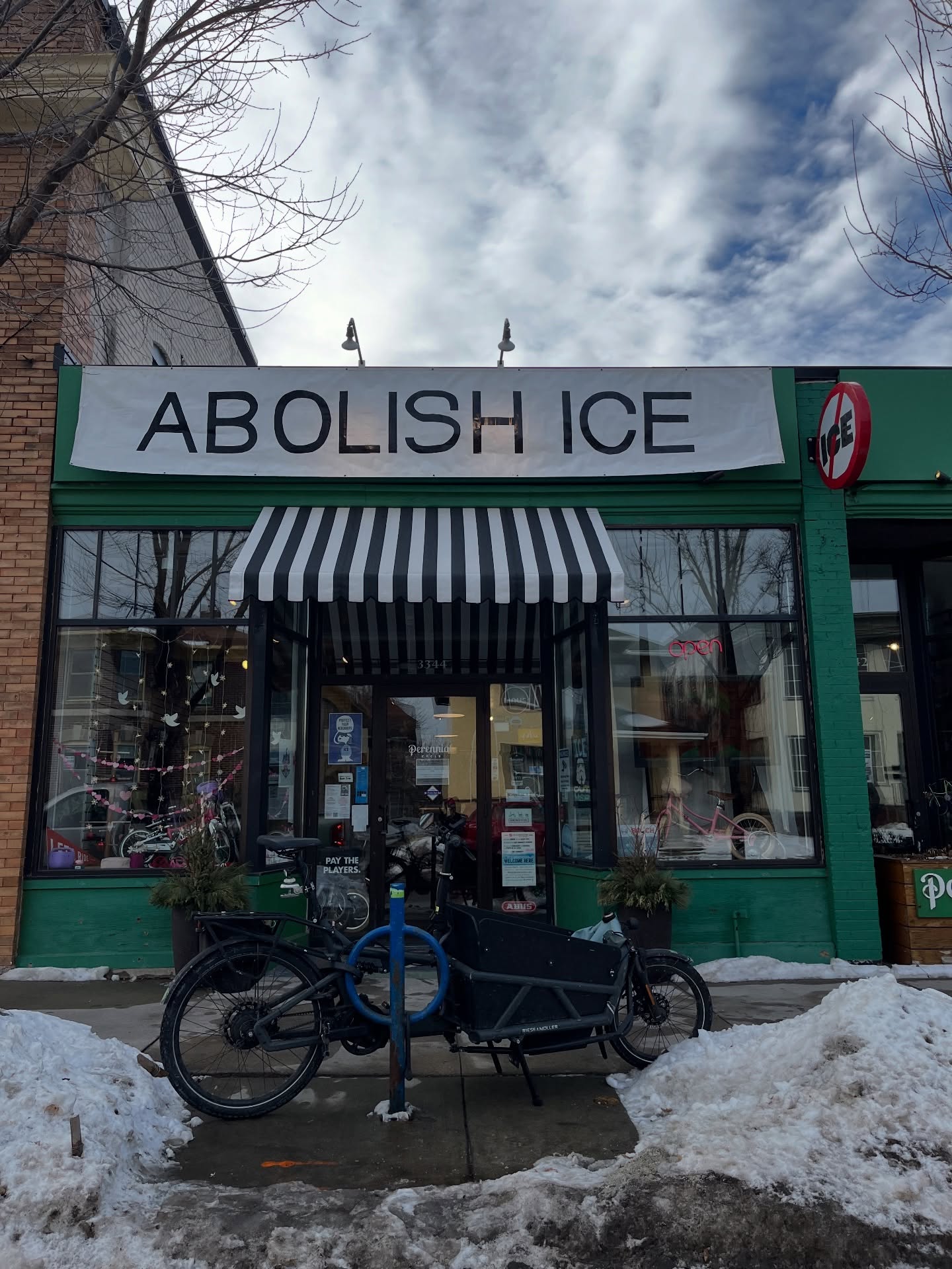 Image from @perennialcycle