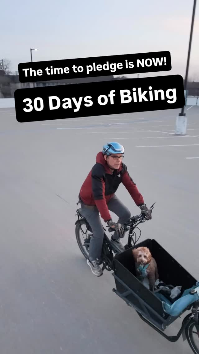 Image from @perennialcycle