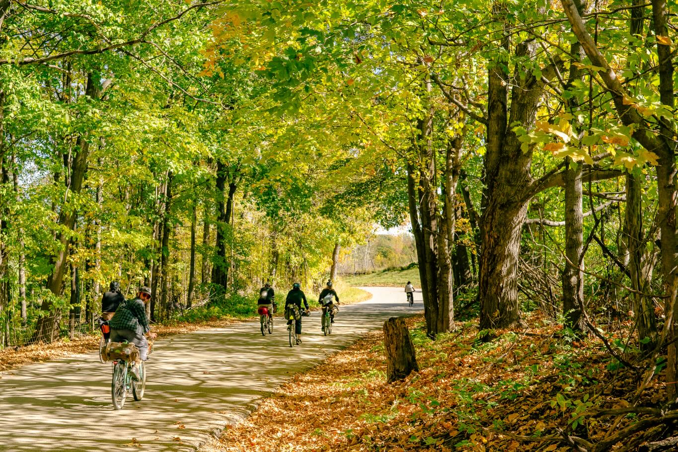 Image from @geno_atb