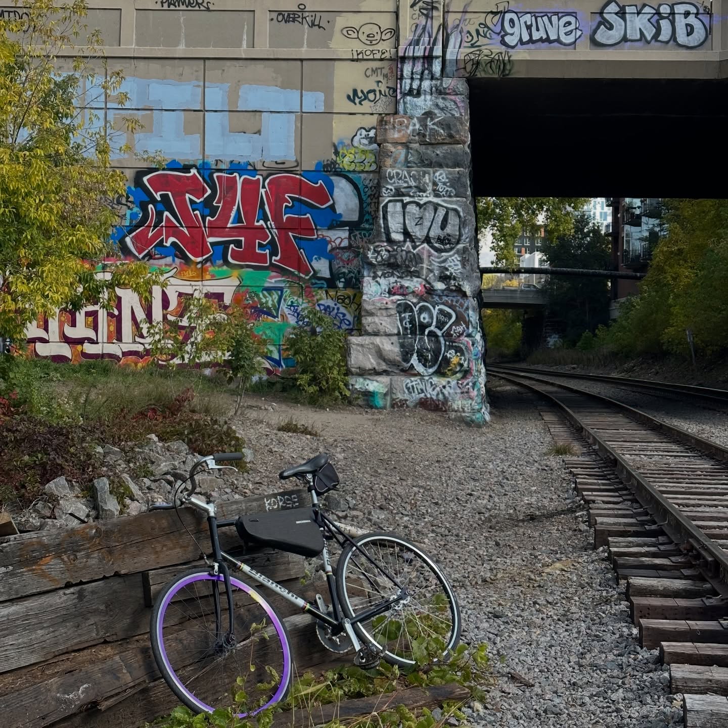 Image from @bikingwithbaddies