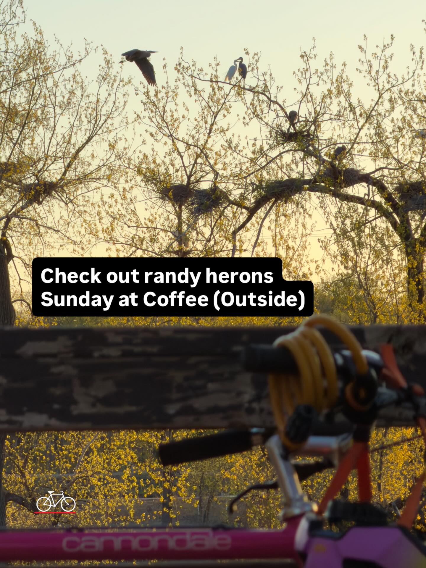 Image from @recoverybikeshop