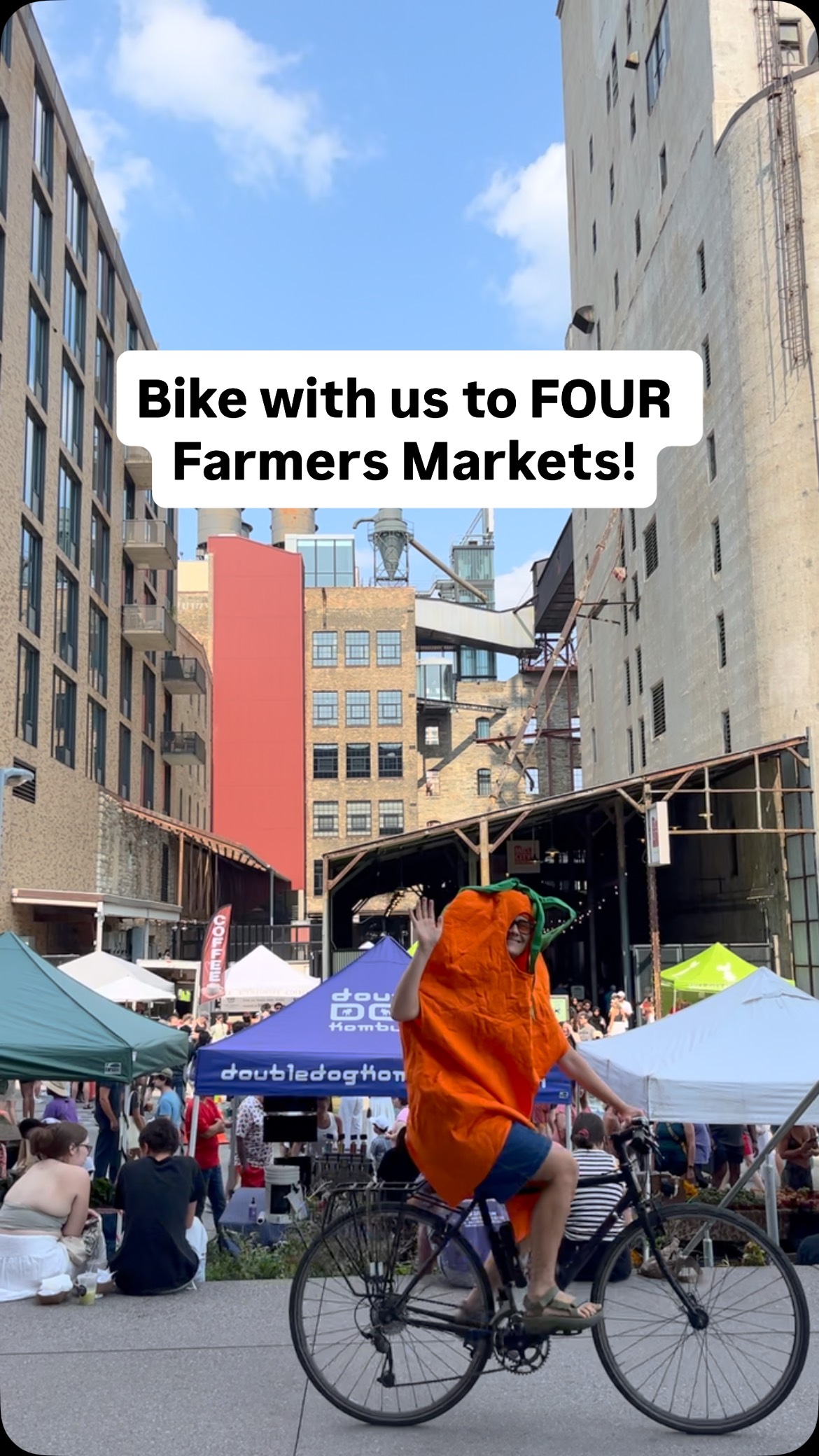 Image from @perennialcycle