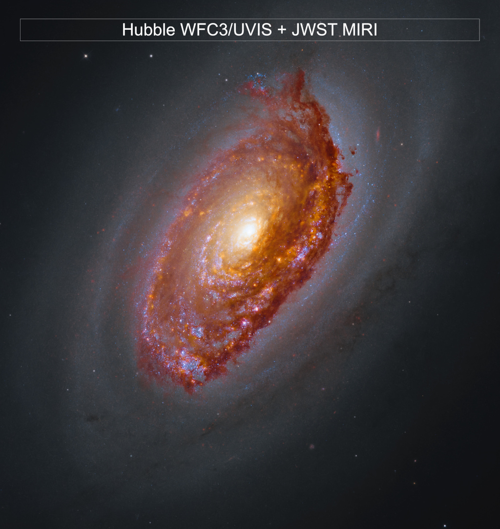 Image from NASA APOD
