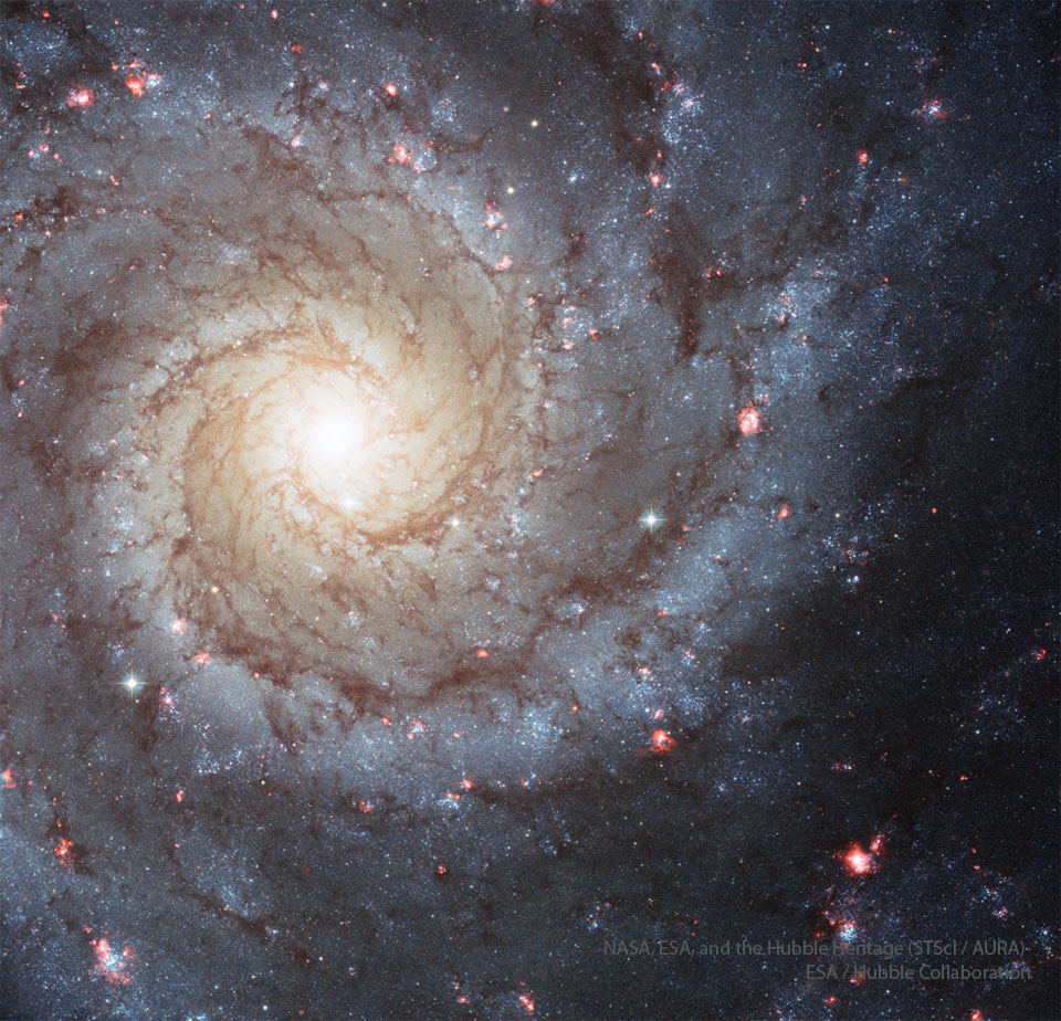 Image from NASA APOD