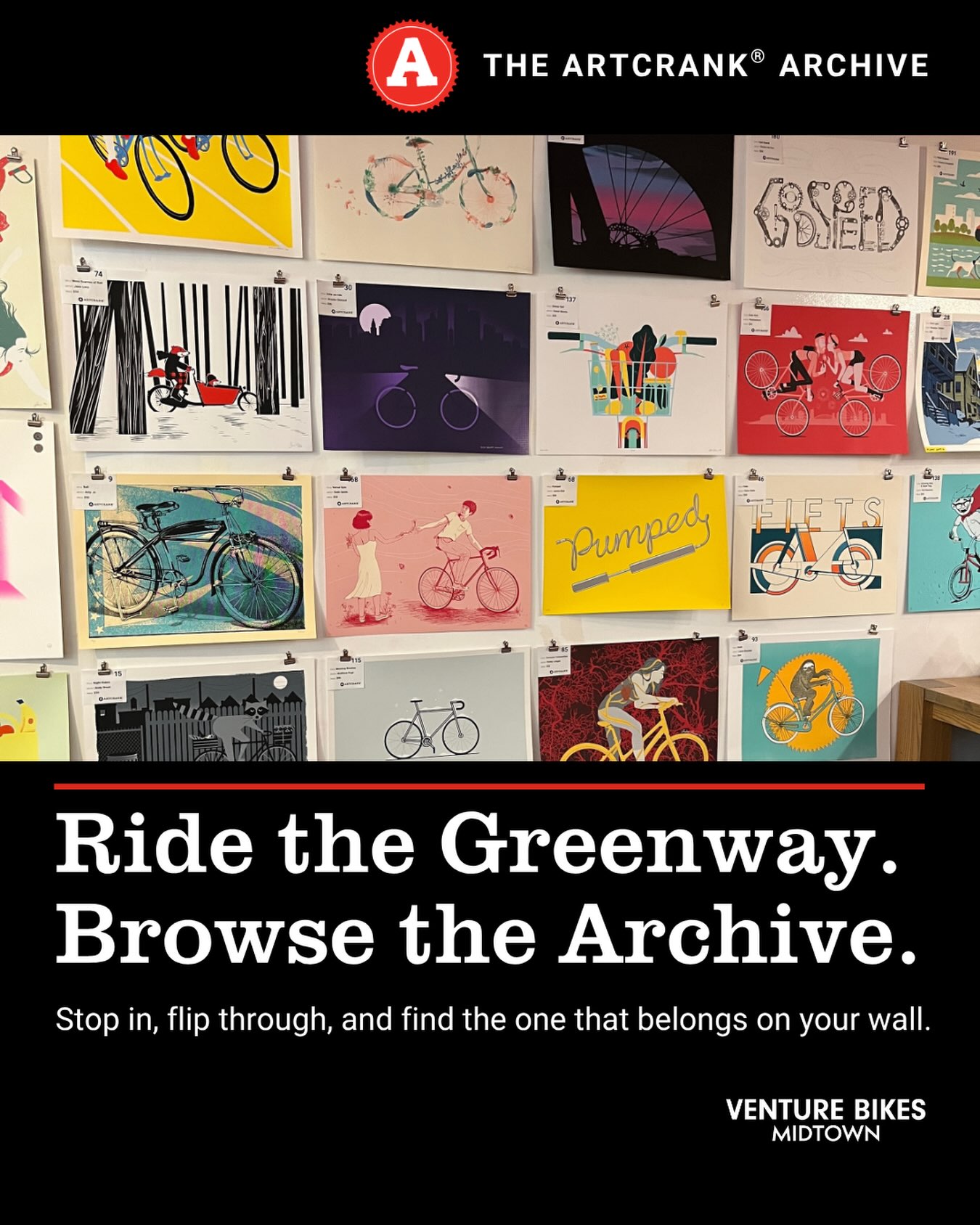 Image from @venturebikempls
