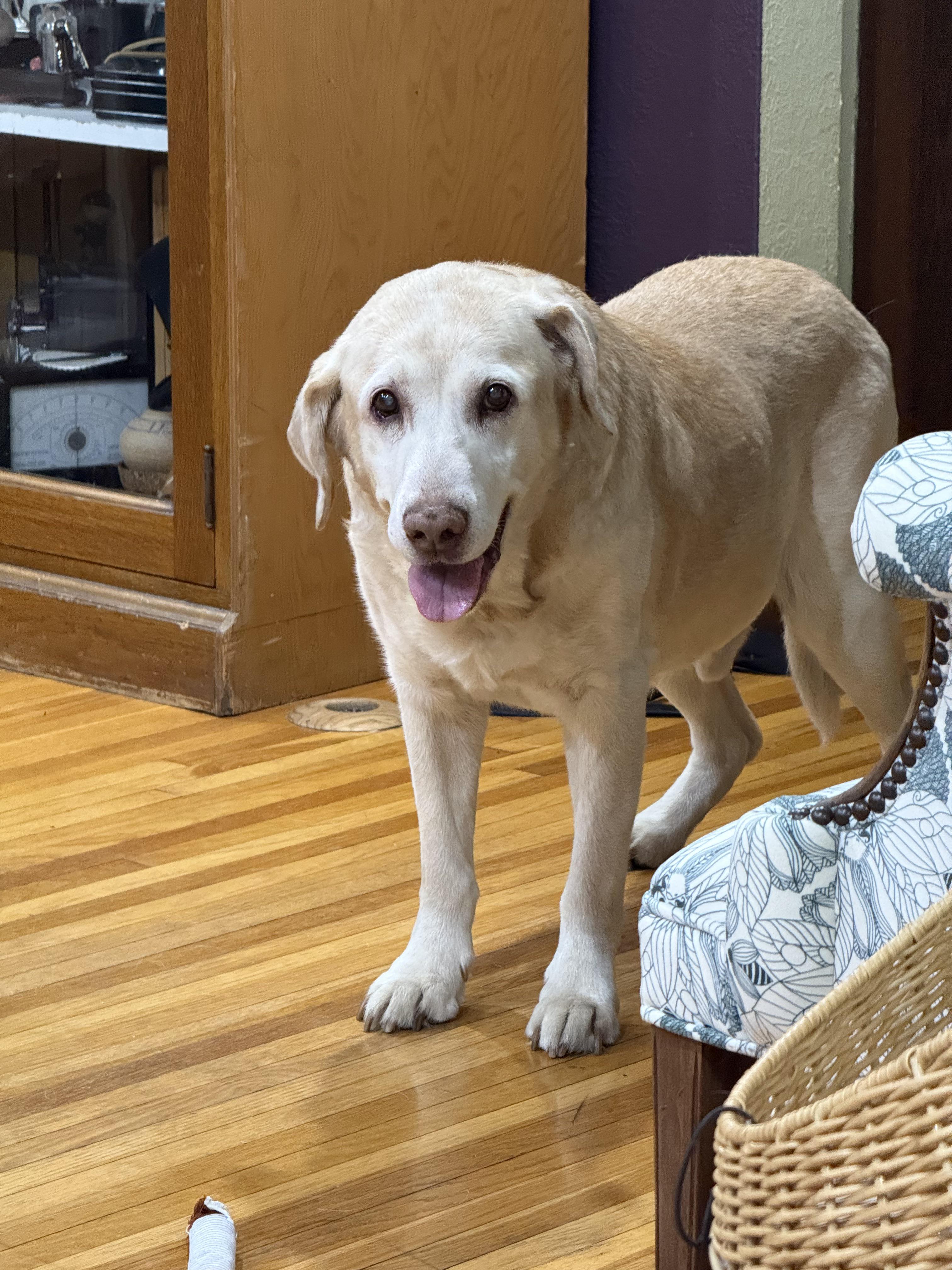 Image from r/twincities