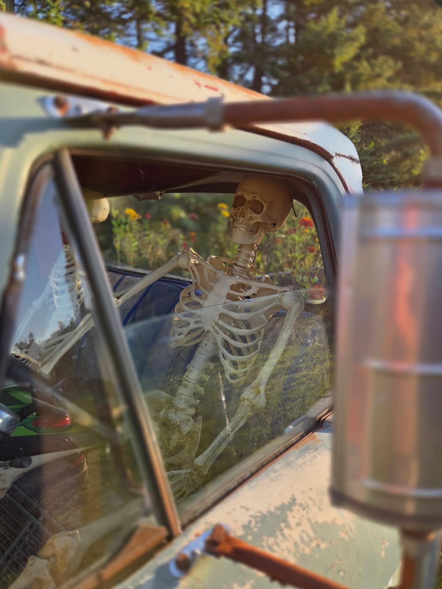 Image from @bonesawcyclingcollective