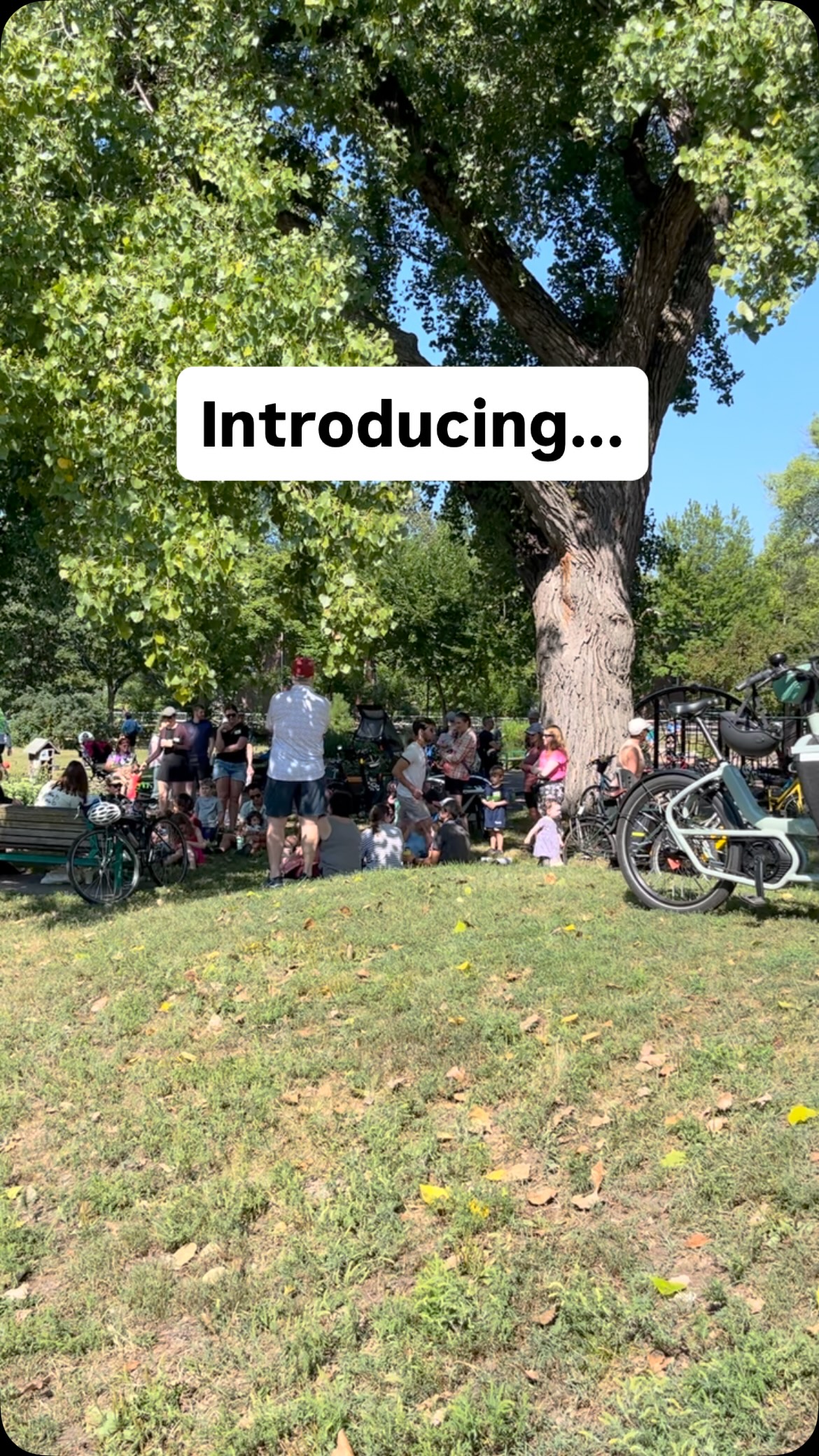 Image from @perennialcycle