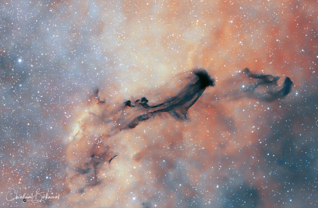 Image from NASA APOD